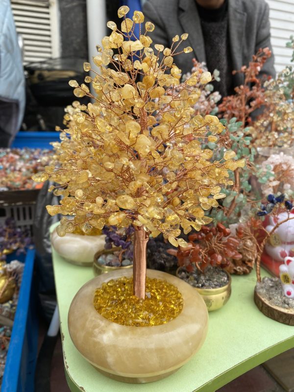 Money Tree - Feng Shui Wealth Charm for Home & Office